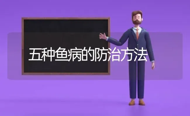 五种鱼病的防治方法 | 淡水养殖