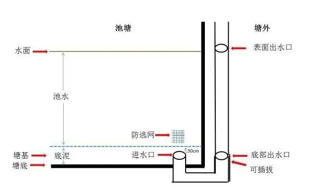 塘鲺鱼养殖塘水质如何才保持好