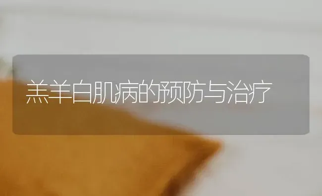 羔羊白肌病的预防与治疗 | 家畜养殖