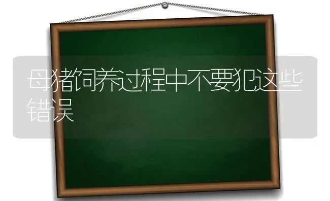 母猪饲养过程中不要犯这些错误 | 家畜养殖