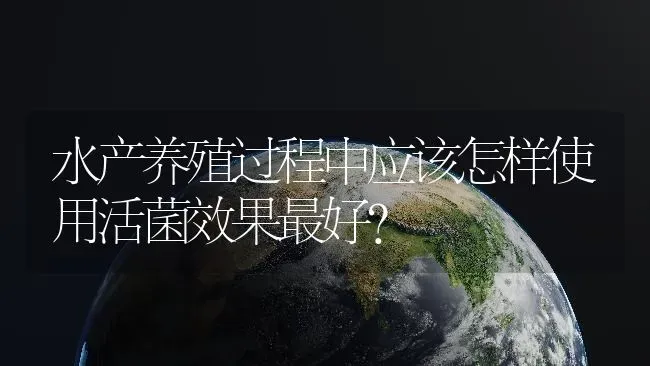 水产养殖过程中应该怎样使用活菌效果最好？ | 动物养殖百科
