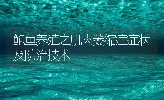 鲍鱼养殖之肌肉萎缩症症状及防治技术 | 海水养殖