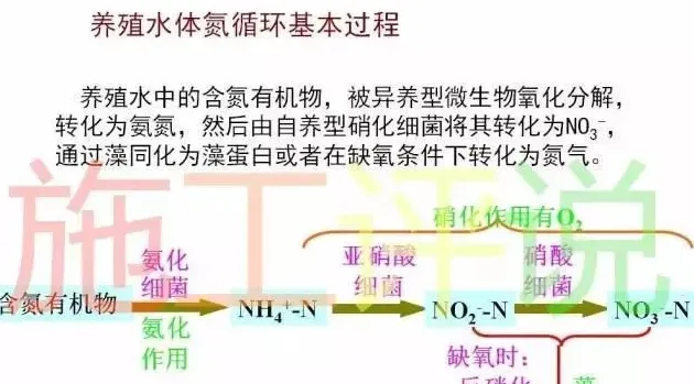 养殖水体春秋百花争鸣，还是菌、藻楚汉相争？