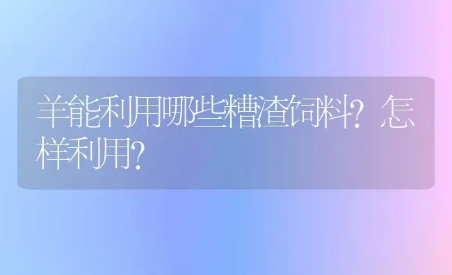 羊能利用哪些糟渣饲料？怎样利用？ | 家畜养殖