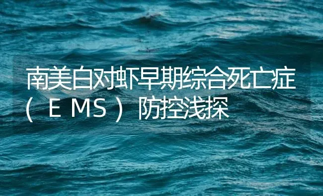 南美白对虾早期综合死亡症(EMS)防控浅探 | 海水养殖