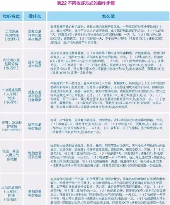 南美白对虾养殖户如何做好收虾前后虾塘工作