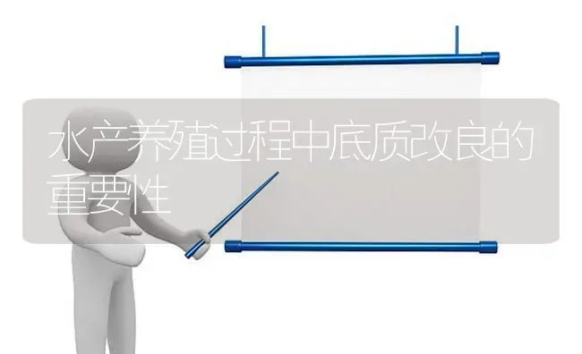 水产养殖过程中底质改良的重要性 | 动物养殖百科