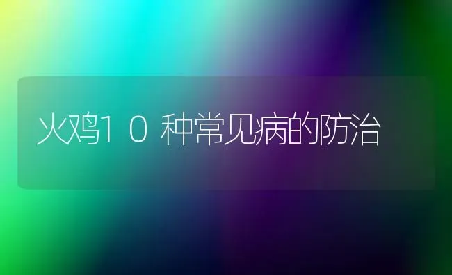 火鸡10种常见病的防治 | 家禽养殖