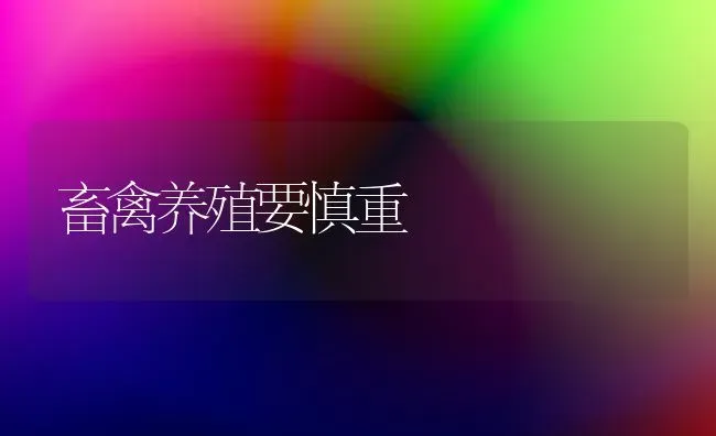 畜禽养殖要慎重 | 家禽养殖