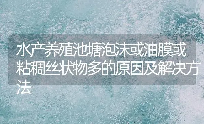 水产养殖池塘泡沫或油膜或粘稠丝状物多的原因及解决方法 | 动物养殖百科