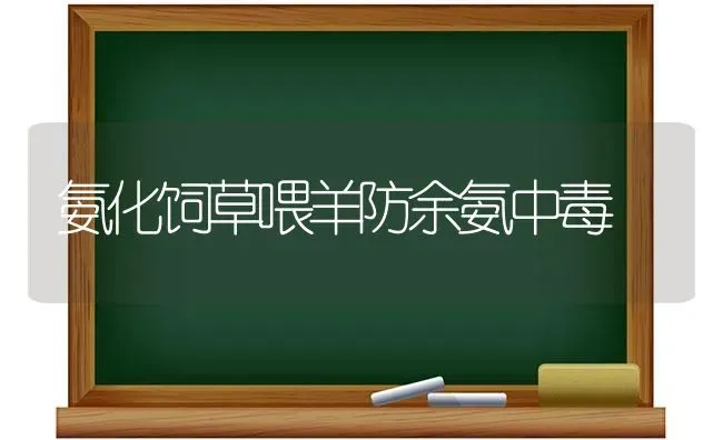 氨化饲草喂羊防余氨中毒 | 家畜养殖