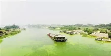 连年亏本的兴化河蟹养殖模式何去何从