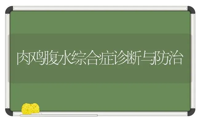肉鸡腹水综合症诊断与防治 | 家禽养殖