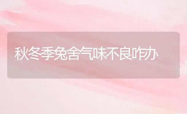秋冬季兔舍气味不良咋办 | 家畜养殖