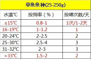 珠三角地区草鱼养殖冬季饲料投喂策略：少即是多