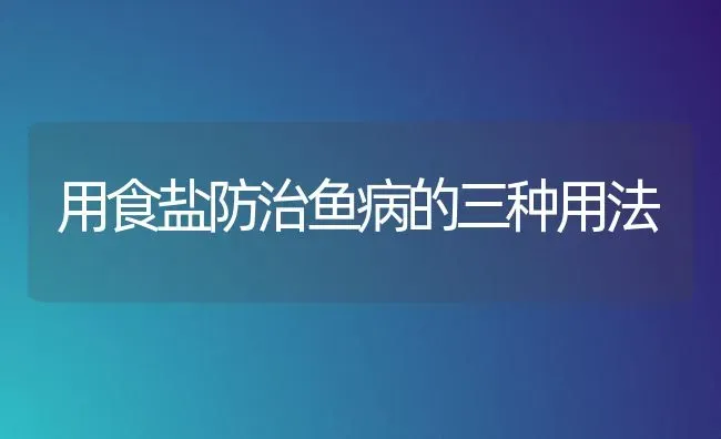 用食盐防治鱼病的三种用法 | 淡水养殖