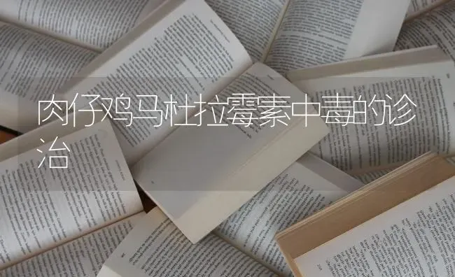 肉仔鸡马杜拉霉素中毒的诊治 | 家禽养殖