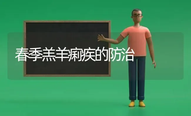 春季羔羊痢疾的防治 | 家畜养殖