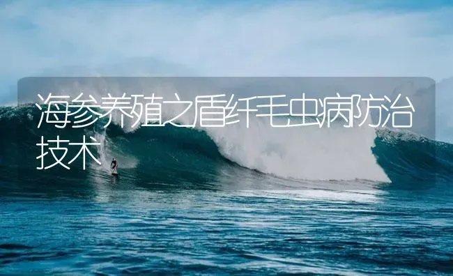 海参养殖之盾纤毛虫病防治技术 | 海水养殖
