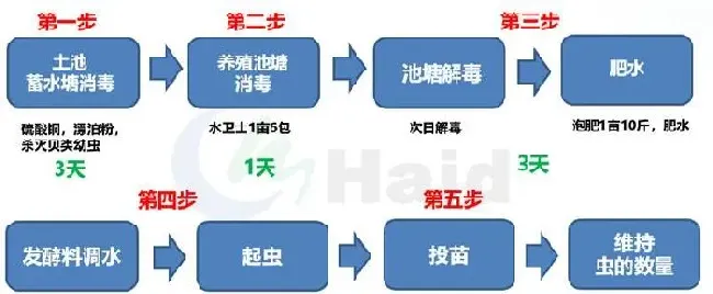 南美白对虾+非洲斑节对虾两造虾模式，让养殖稳定盈利！“黑”金刚苗期攻略，请收好！