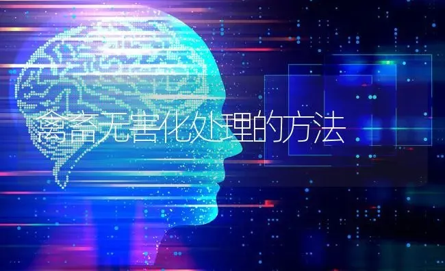 禽畜无害化处理的方法 | 家禽养殖
