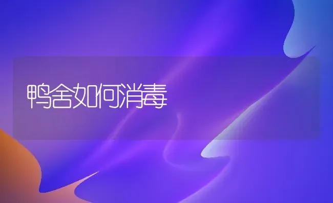 鸭舍如何消毒 | 家禽养殖