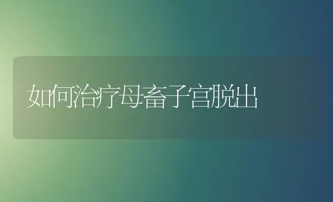 如何治疗母畜子宫脱出 | 家畜养殖