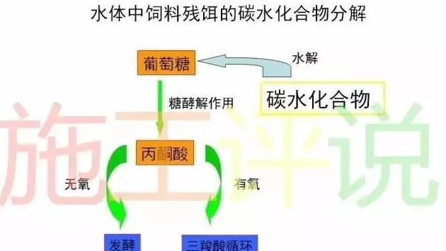 养殖水体春秋百花争鸣，还是菌、藻楚汉相争？