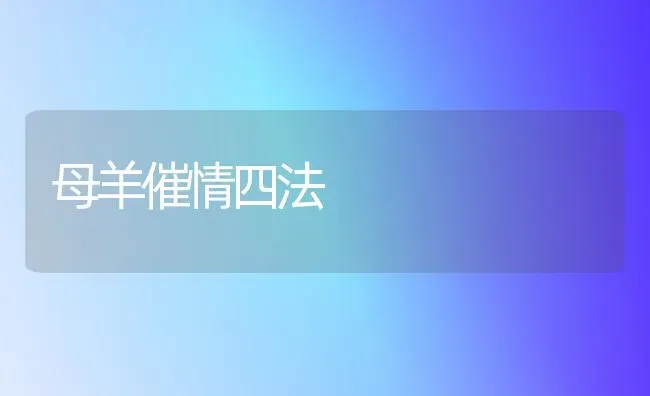 母羊催情四法 | 家畜养殖
