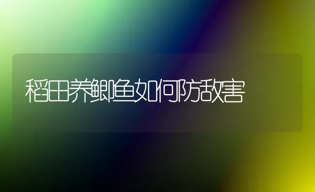 稻田养鲫鱼如何防敌害 | 淡水养殖