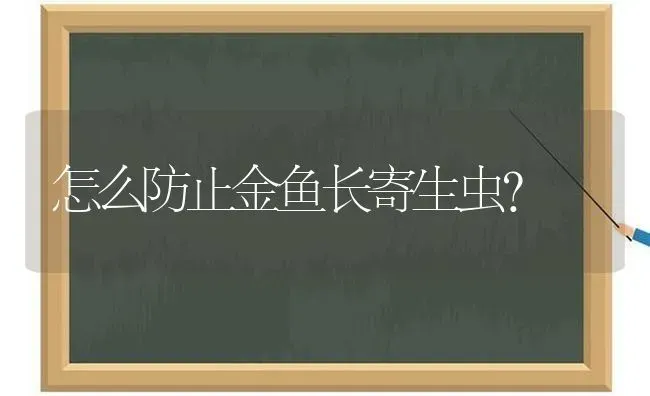 怎么防止金鱼长寄生虫？ | 淡水养殖