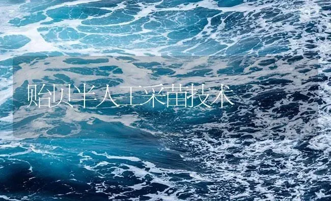 贻贝半人工采苗技术 | 海水养殖