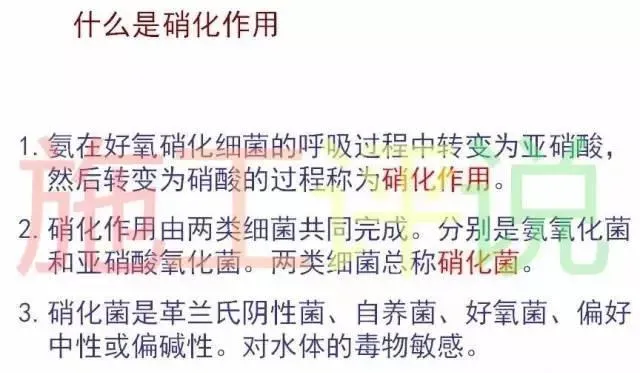 养殖水体春秋百花争鸣，还是菌、藻楚汉相争？