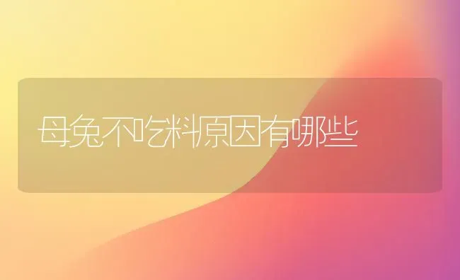 母兔不吃料原因有哪些 | 家畜养殖