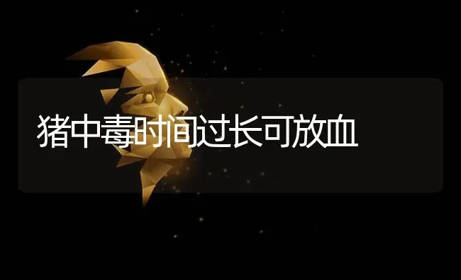 猪中毒时间过长可放血 | 家畜养殖