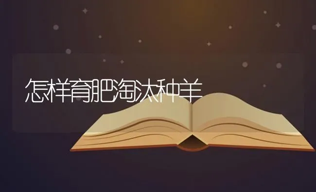 怎样育肥淘汰种羊 | 家畜养殖