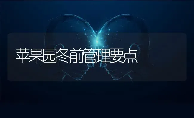 蚯蚓喂鸡需防盲肠肝炎 | 家禽养殖