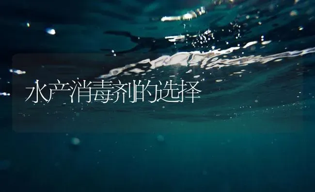 水产消毒剂的选择 | 养殖病虫害防治