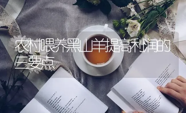 农村喂养黑山羊提高利润的三要点 | 家畜养殖