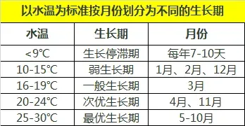 珠三角地区草鱼养殖冬季饲料投喂策略：少即是多