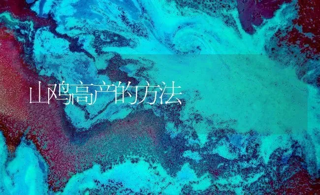 山鸡高产的方法 | 家禽养殖