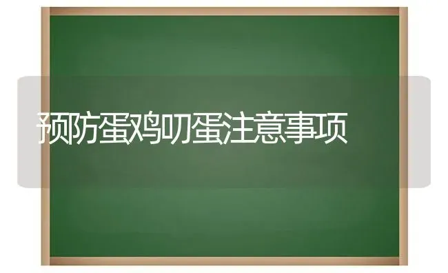 预防蛋鸡叨蛋注意事项 | 家禽养殖