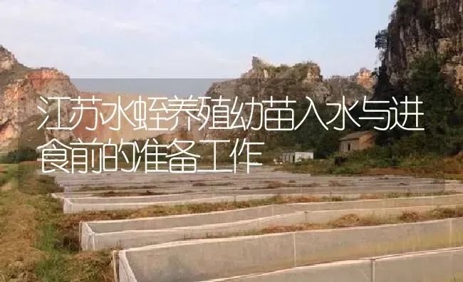 江苏水蛭养殖幼苗入水与进食前的准备工作 | 特种养殖