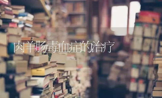 肉羊肠毒血症的治疗 | 家畜养殖