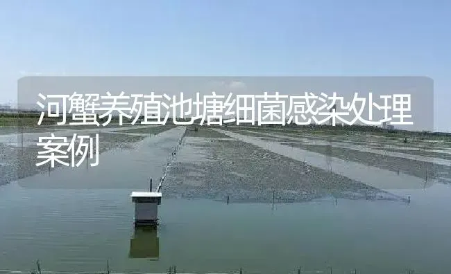 河蟹养殖池塘细菌感染处理案例 | 淡水养殖