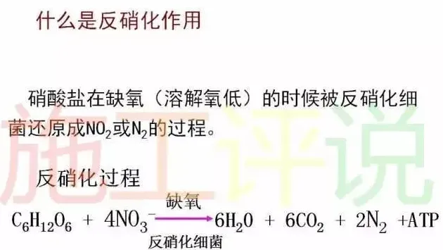 养殖水体春秋百花争鸣，还是菌、藻楚汉相争？