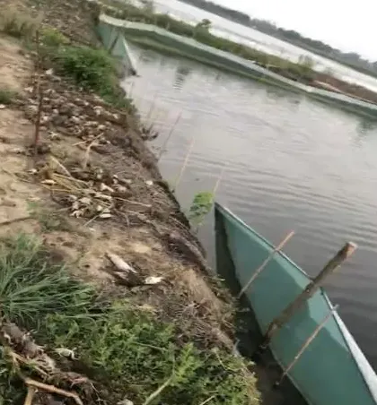 河蟹塘水体发黑塘口微缺氧怎么办