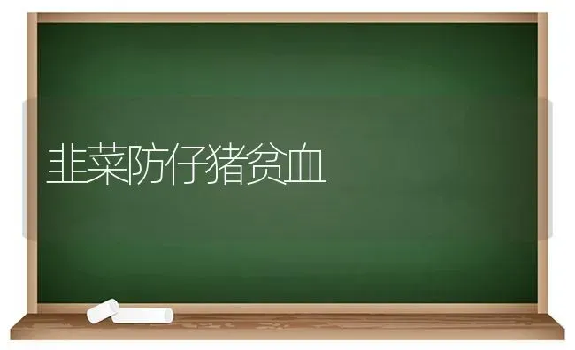 韭菜防仔猪贫血 | 家畜养殖