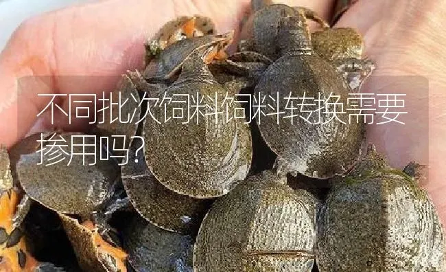 不同批次饲料饲料转换需要掺用吗？ | 淡水养殖