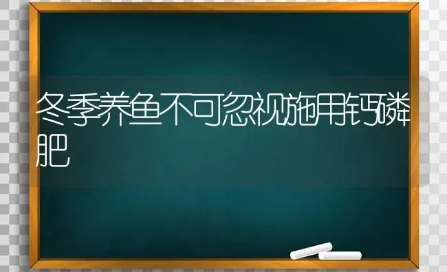 冬季养鱼不可忽视施用钙磷肥 | 淡水养殖